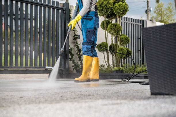 Best Roof Pressure Washing  in Folsom, CA